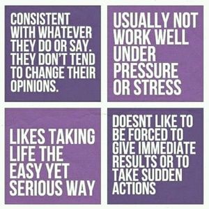 Meet your Posher, Vincent